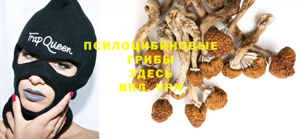 ГАЛЛЮЦИНОГЕННЫЕ ГРИБЫ Абинск