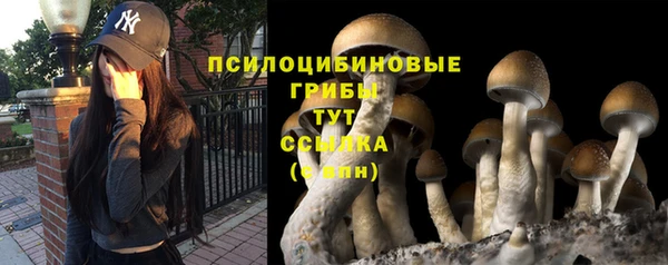 ГАЛЛЮЦИНОГЕННЫЕ ГРИБЫ Абинск