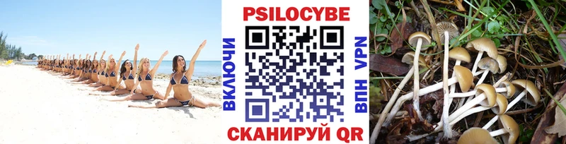 закладка  Пугачёв  Псилоцибиновые грибы ЛСД 